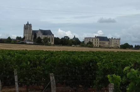 domaine viticole saumur